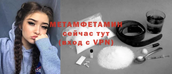 прущие грибы Костерёво