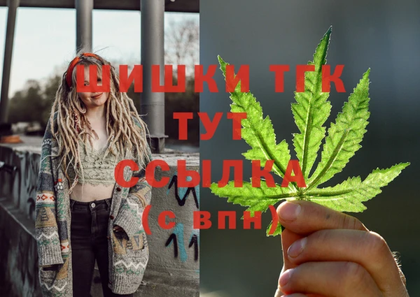прущие грибы Костерёво