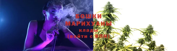 прущие грибы Костерёво