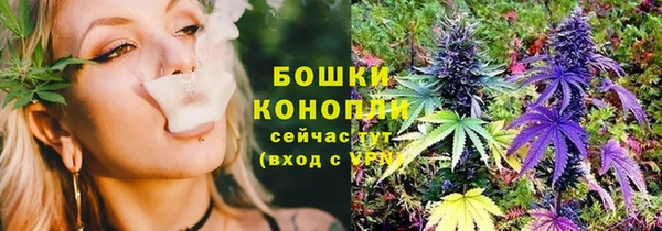 прущие грибы Костерёво