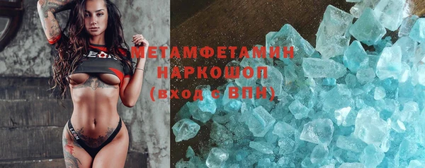 прущие грибы Костерёво